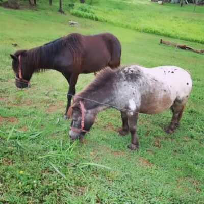 WhatsApp Image 2024-06-13 at 14.38.57