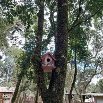 WhatsApp Image 2024-06-13 at 14.40.15