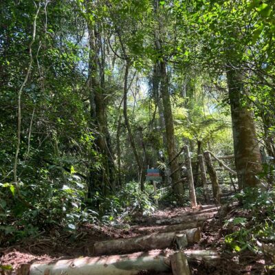trilha-floresta_lsNLed3M